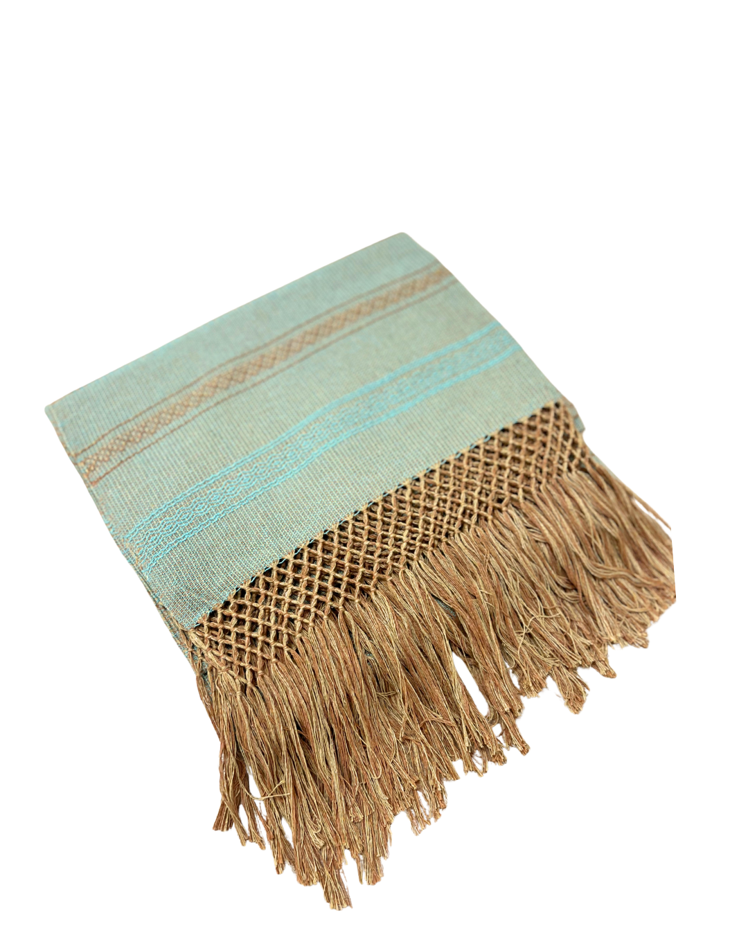 DESIERTO CACTAE REBOZO